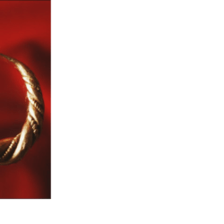 Gotlands VikingWedding Rings